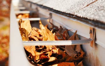 Sharnhill Green gutter cleaning companies